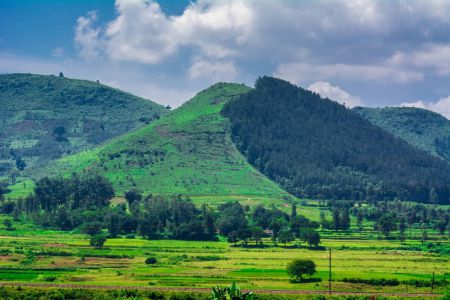 Araku Valley, Andhra Pradesh - Udupi Taxi Services