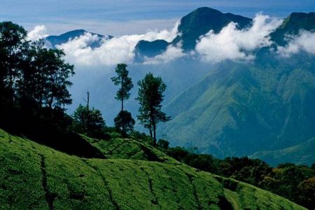 Ooty, Tamil Nadu