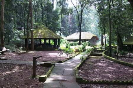 Anejhari Butterfly Camp - Udupi Taxi Services